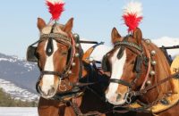 kutschenfahrten-graubünden