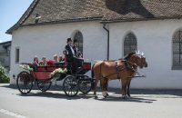 kutschenfahrten-luzern
