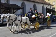 kutschenfahrten-schaffhausen