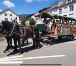 kutschenfahrten-solothurn