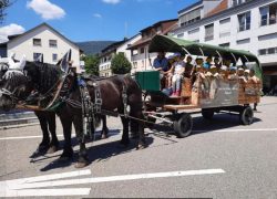 kutschenfahrten-solothurn
