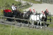 kutschenfahrten-zürich