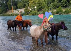 ponyreiten-bern