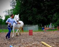 pferdegestütztes-coaching-schweiz