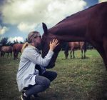pferde-coaching-bern