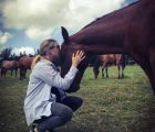 pferde-coaching-bern
