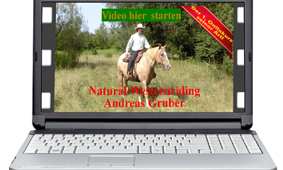 westernriding-onlinekurs