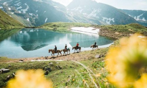 pferdetrekking-wallis-11