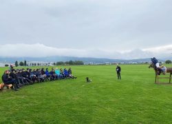 polo-aargau