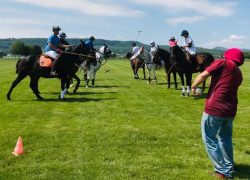 polo-aargau