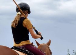 polo-aargau