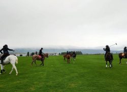 polo-aargau