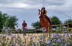 polo-aargau