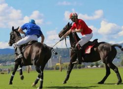 polo-aargau