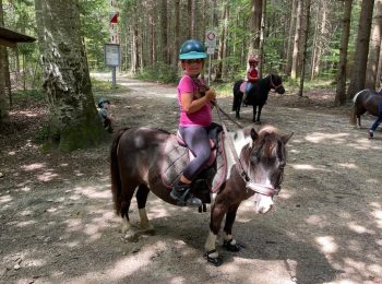 reiten-basel