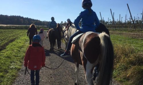 ponyreiten-thurgau