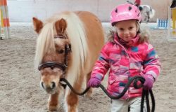 ponyreiten-aargau
