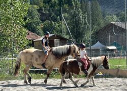 ponyreiten-bern