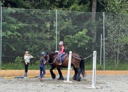 ponyreiten-bern