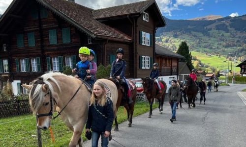 ponyreiten-bern