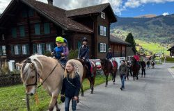 ponyreiten-bern