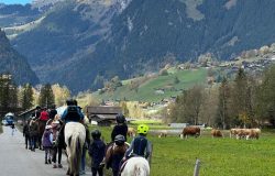 ponyreiten-bern