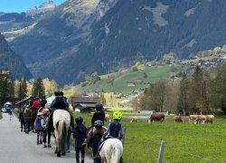 ponyreiten-bern