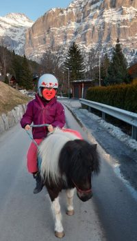 ponyreiten-grindelwald