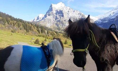 ponyreiten-grindelwald