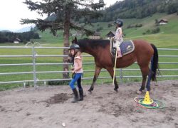 ponyreiten-luzern