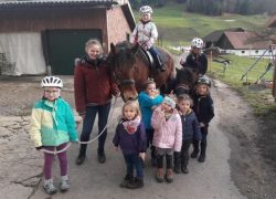 ponyreiten-luzern