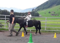 ponyreiten-luzern