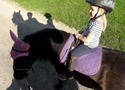 ponyreiten-luzern