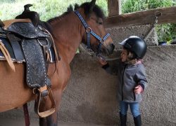 ponyreiten-thurgau