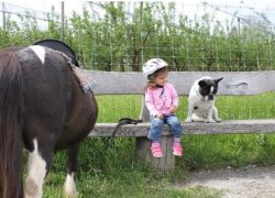 ponygeburtstag-thurgau
