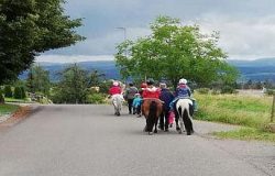 ponyreiten-zürich