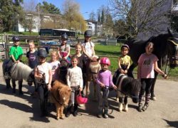 Ponyclub Urdorf (Zürich)