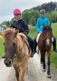 ponyreiten-zuerich