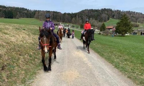 ponyreiten-zuerich