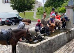 ponyreiten-zürich