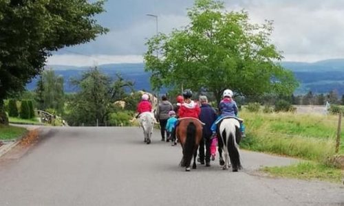ponyreiten-zürich