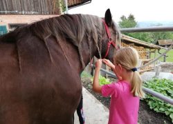 ponyreiten-zürich