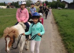 ponyspaziergang-aargau