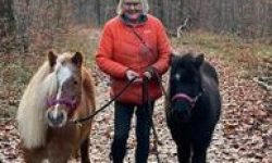 reiten-basel