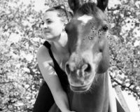 westernreiten-bern