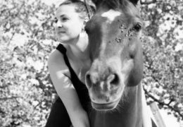 westernreiten-bern