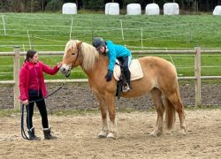 reiten-bern