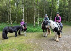 reiten-bern