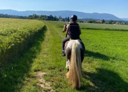 reiten-bern