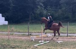 reitferien-bern